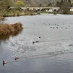 Le Sentier Des Lavandes