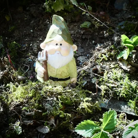 Le Sentier Des Lavandes *