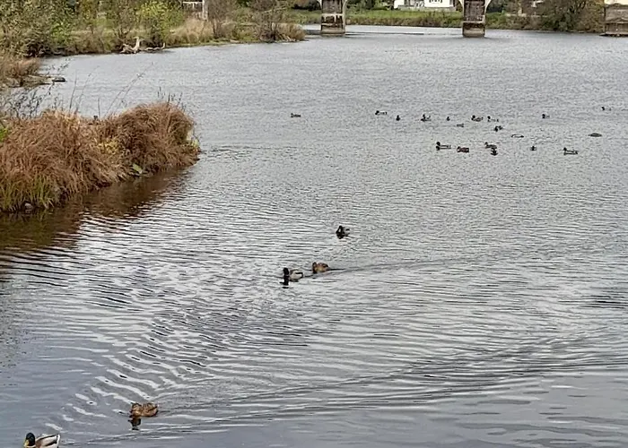Le Sentier Des Lavandes
