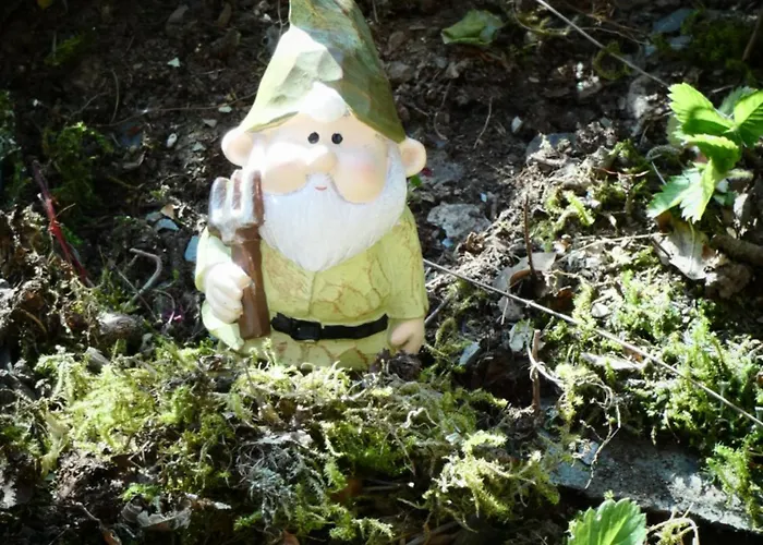 Le Sentier Des Lavandes *